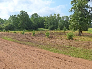 16XX Lake Ave, Luck, WI 54853 - photo 3