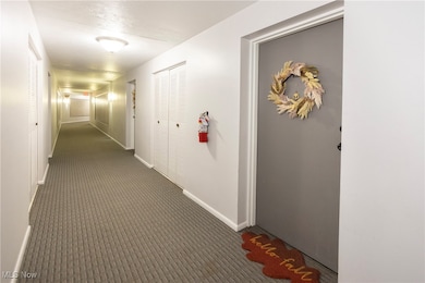 1742 Wagar Rd unit 104B, Rocky River, OH 44116 - photo 5