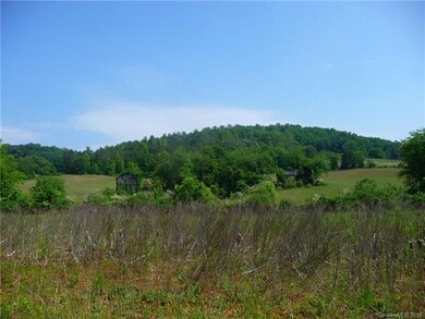 00 Jones Patton Rd, Leicester, NC 28748 - photo 5