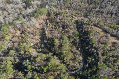 DJI_0549