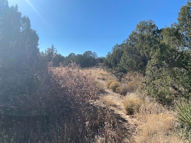 0 Bryant Rd, Edgewood, NM 87015 - photo 2