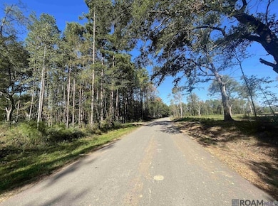 3315 Nesom Rd, Denham Springs, LA 70706 - photo 3