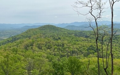 Additional View