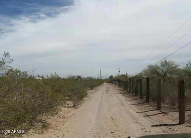 17515 W Western Star Trail, Three Points, AZ 85735 - photo 6