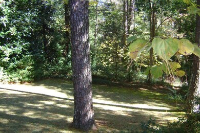 416 Lamar Dr, Macon, GA 31210 - photo 4