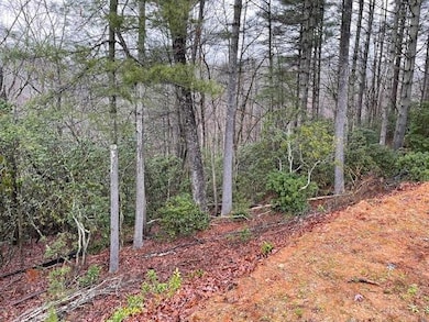 Lot 23