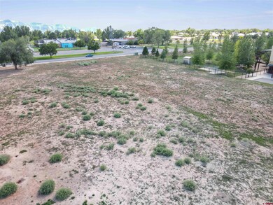 TBD N Mildred Rd, Cortez, CO 81321 - photo 6