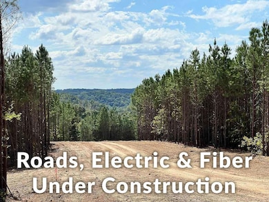 79 Tennessee 232, Dover, TN 37058 - photo 6