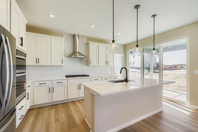 13755 Daffodil Way, Parker, CO 80134 - photo 7