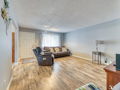 251 Midway St, Dundee, MI 48131 - photo 4