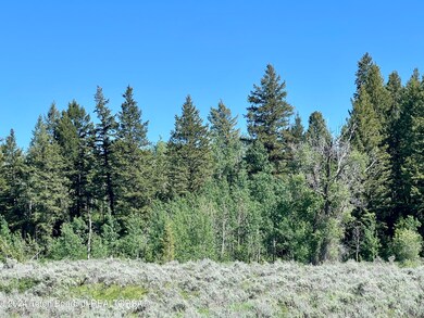 IMG_3202