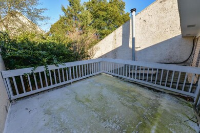 Roof Deck (1 of 1)
