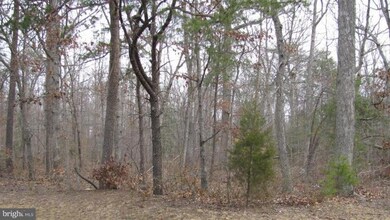 0 Billingsley Rd unit 1004927570, White Plains, MD 20695 - photo 3