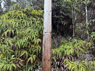 0 8th St unit 719837, Volcano, HI 96785 - photo 6