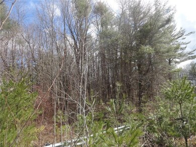 Lot 11 Joy Valley Rd, Buxton, ME 04093 - photo 7