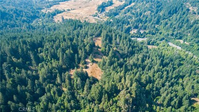 34621 Alderpoint Rd, Blocksburg, CA 95514 - photo 6