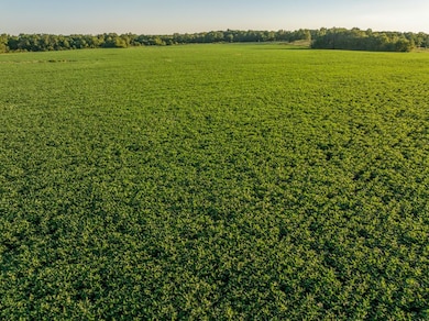 0000 NW 630 Rd, Appleton City, MO 64724 - photo 6