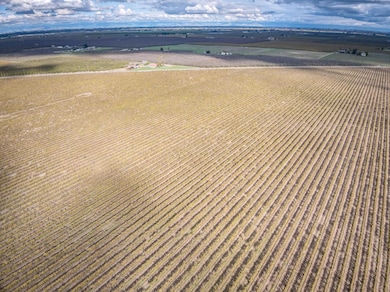 10477 S Cornelia Ave, Fresno, CA 93706 - photo 6