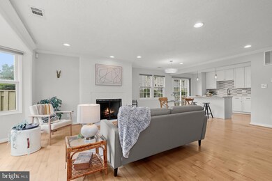 3044 Piano Ln, Silver Spring, MD 20904 - photo 4