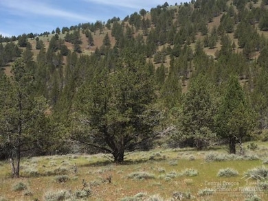 0 Shop Gulch unit 201705141, Mount Vernon, OR 97865 - photo 4