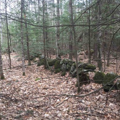 0 Joanna St unit tax lot number 029, Moultonborough, NH 03254 - photo 3