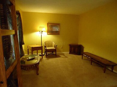 Large living room with double windows