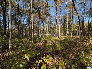 Lot D, TM 24-30 W Hoover Rd unit D, Reva, VA 22735 - photo 7