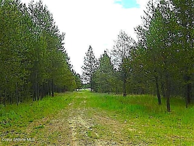 NKA Hwy 95, Athol, ID 83801 - photo 6