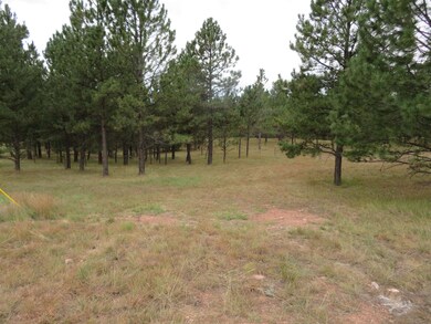TBD Lot 34B Hombre Trail unit TBD Lot 34B, Crazy Horse, SD 57730 - photo 5