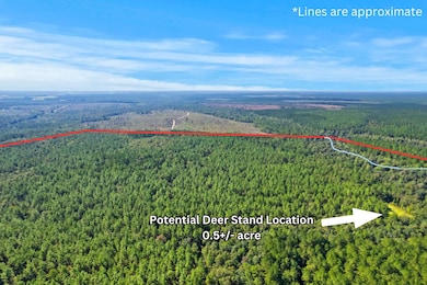 0 Nokomis Rd unit 21694228, Walnut Hill, FL 32568 - photo 7