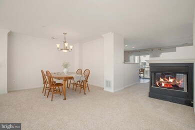 42235 Terrazzo Terrace, Stone Ridge, VA 20105 - photo 5