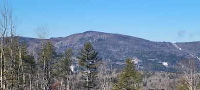 0 High St, Peru, ME 04290 - photo 6