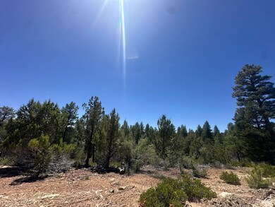 View of local wilderness