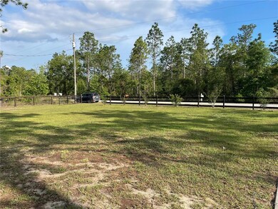 unlisted-address, Dunnellon, FL 34431 - photo 3