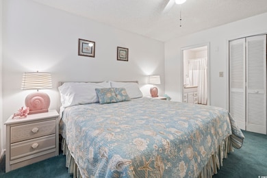 217 Double Eagle Dr unit E-1, Surfside Beach, SC 29575 - photo 5