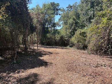 0 Old Rumble Rd, Forsyth, GA 31029 - photo 7