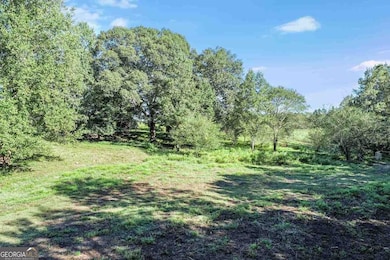 441 Expressway, Mount Airy, GA 30563 - photo 2