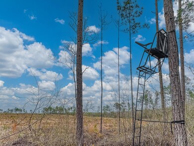 Tract#6418 Bryant Bay Rd unit Mattox Springs NW 97, Caryville, FL 32427 - photo 7