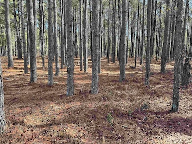 tbd Copeland Moody Rd, Marion, SC 29571 - photo 3