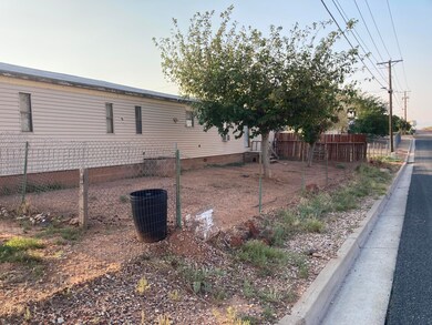 Front Yard (Street Side)