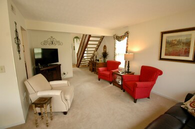 Downstairs Living Room 2