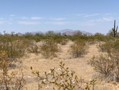 Pristine Desert Vegetation!