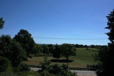Shore Rd View