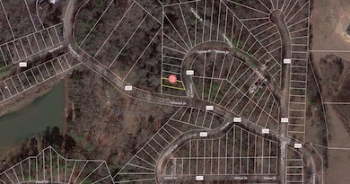 2616 Cr unit Pittsburg TX 75686, Pittsburg, TX 75686 - photo 3