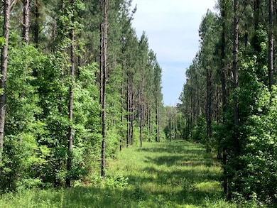 . Athens Trail Ne Timberlane Rd NE, Wesson, MS 39191 - photo 2