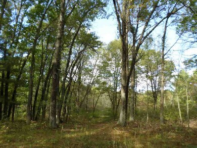 60 Ac 22nd St, Cutler, WI 54618 - photo 7