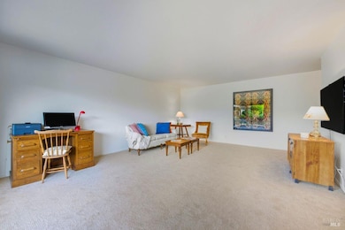 Living room large enough for a home office/ work space too!