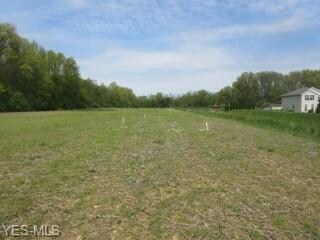 V/L E Hamilton St, New Russia, OH 44074 - photo 5