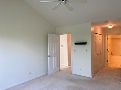 138 Pembroke Cir unit 8BS, Lake Bluff, IL 60044 - photo 6