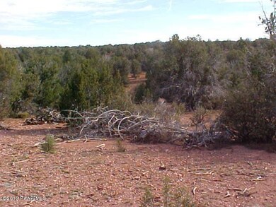 MVC-004S